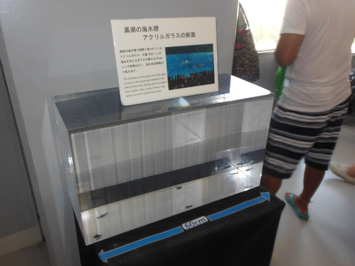 Zo dik is het stuk glas wat ons scheidt met al die dieren en het water