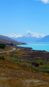Mt. Cook
